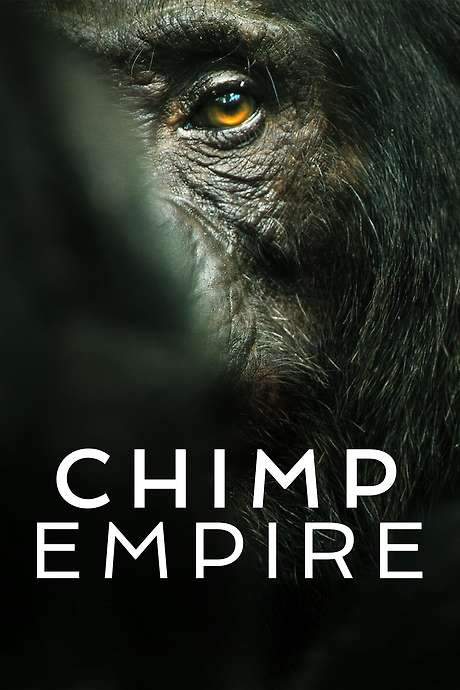 Chimp Empire
